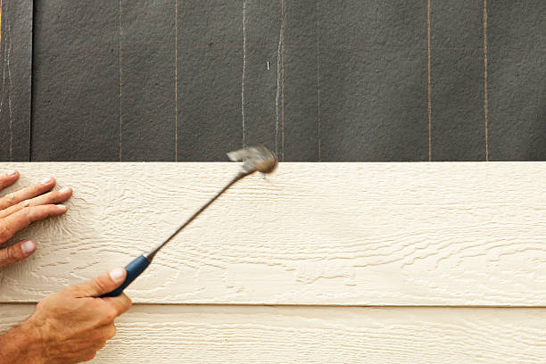 Best Fascia and Soffit Installation  in Rosedale, WA